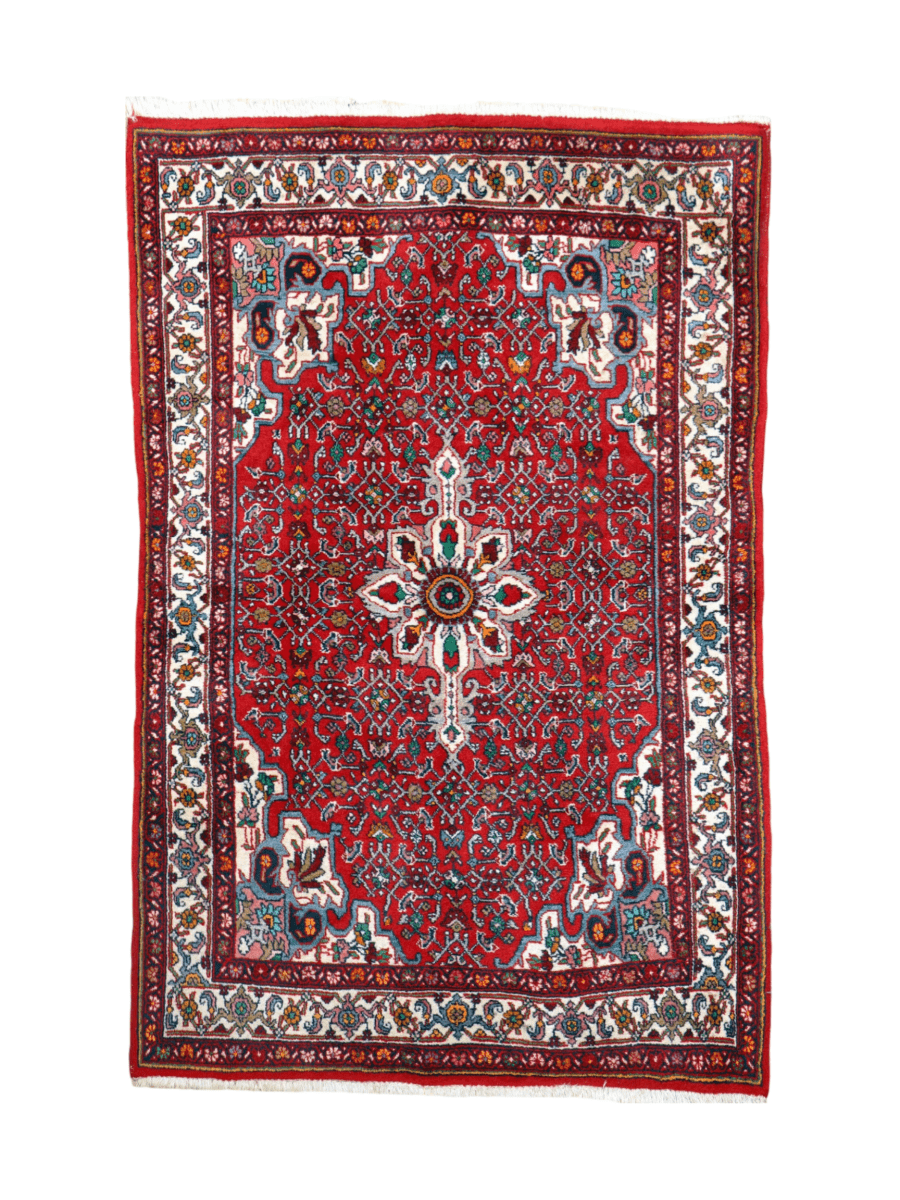 Persian Bidjar Rug | 3' 5" x 5' 3"
