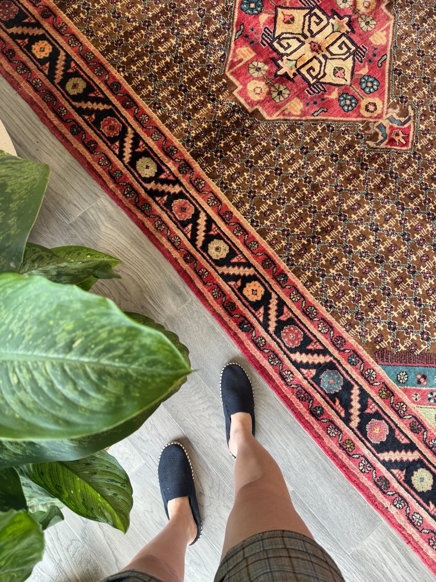 Persian Koliai Rug | 5’ 1" x 9’ 5"