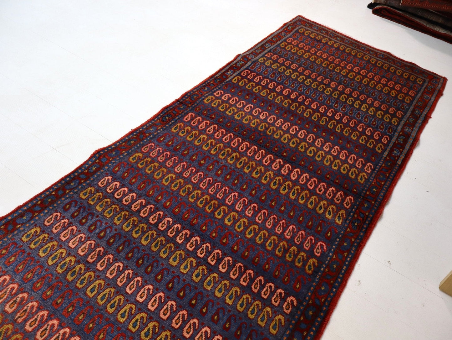 Persian Viss Runner Rug | 2' 11” x 7' 11"