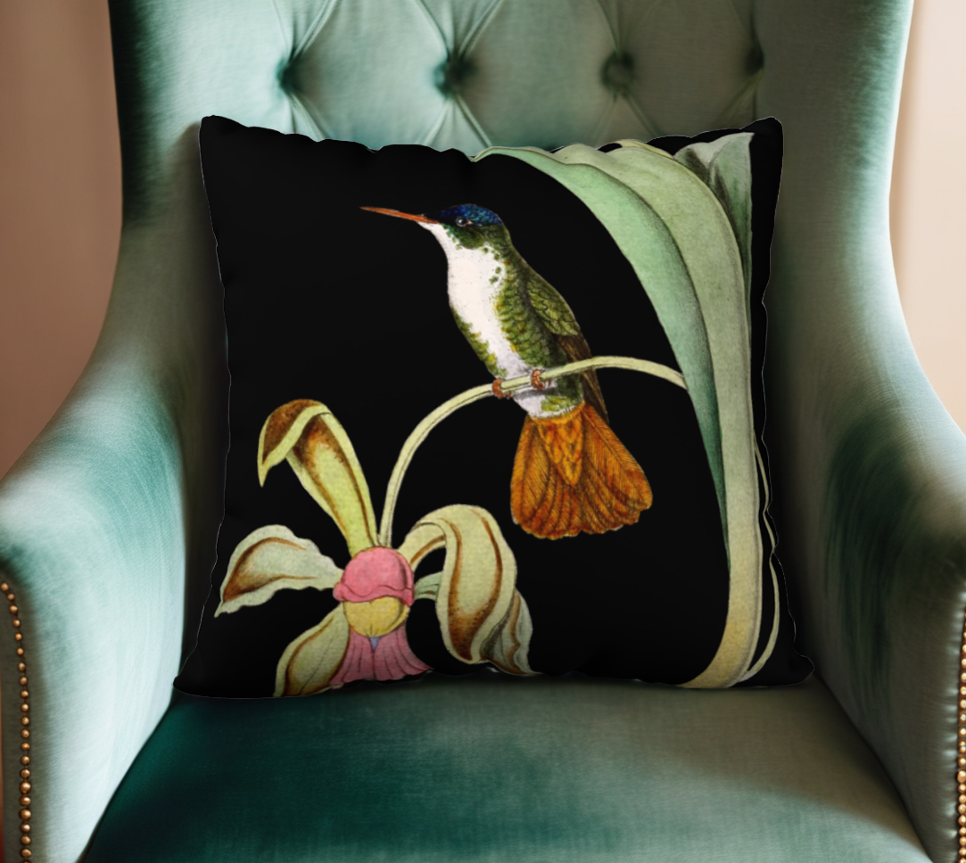 Vintage Hummingbird on Black Velveteen Pillow Cover - 22" x 22"