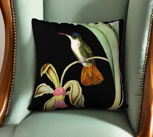 Vintage Hummingbird on Black Velveteen Pillow Cover - 22" x 22"