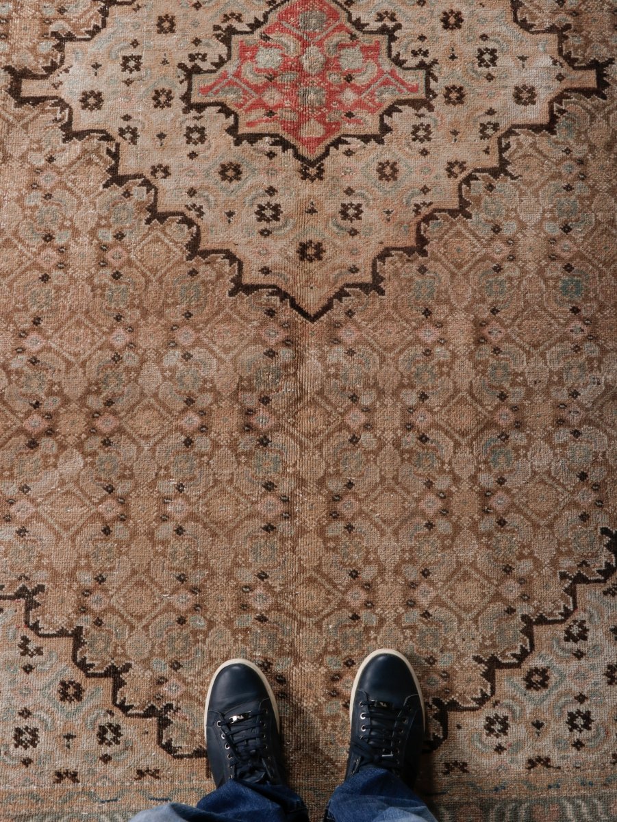 Persian Ardabil Rug | 6' 6” x 8' 11"