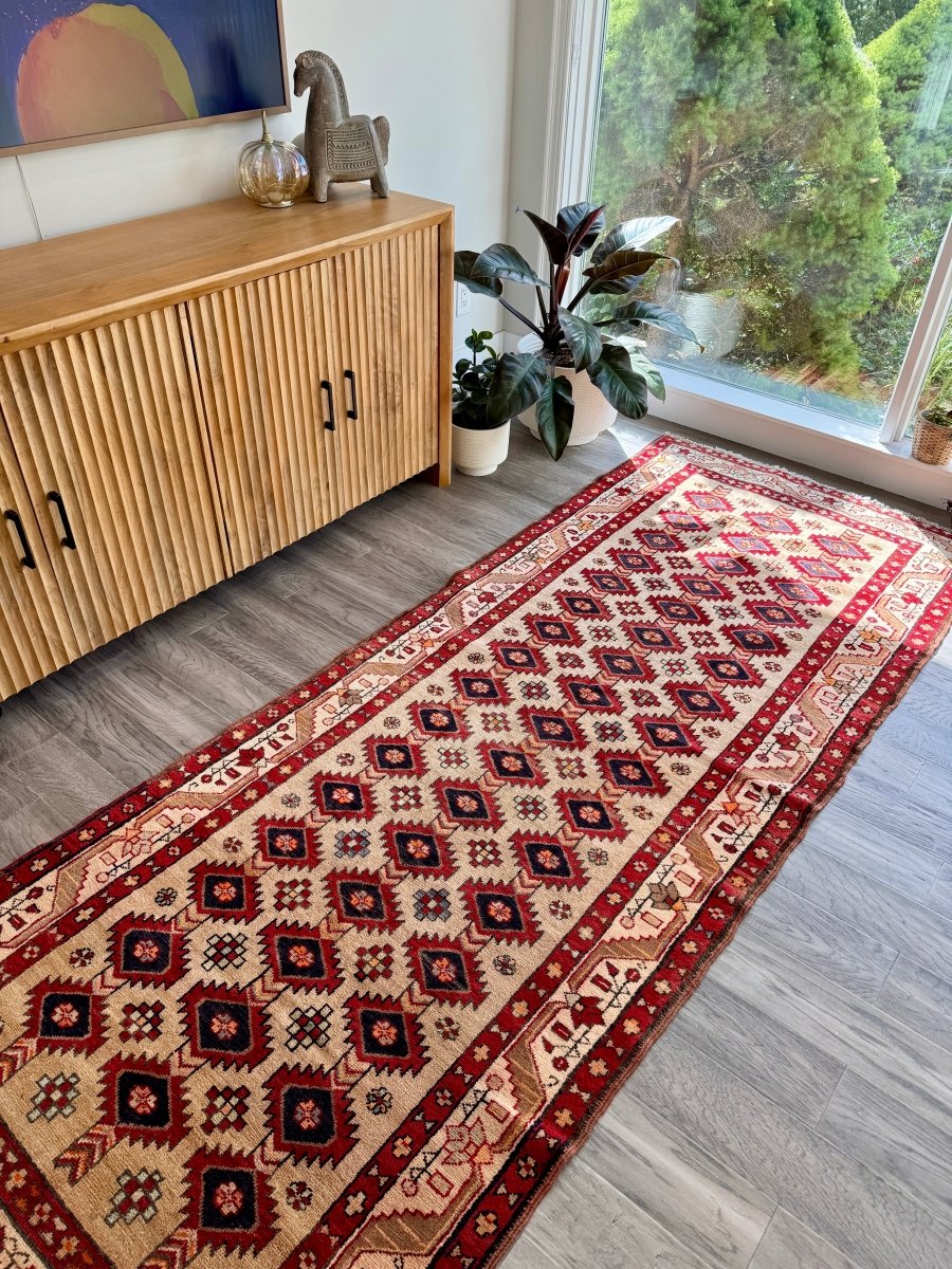 Persian Azerbaijan Runner Rug | 3' 10" x 9' 3"