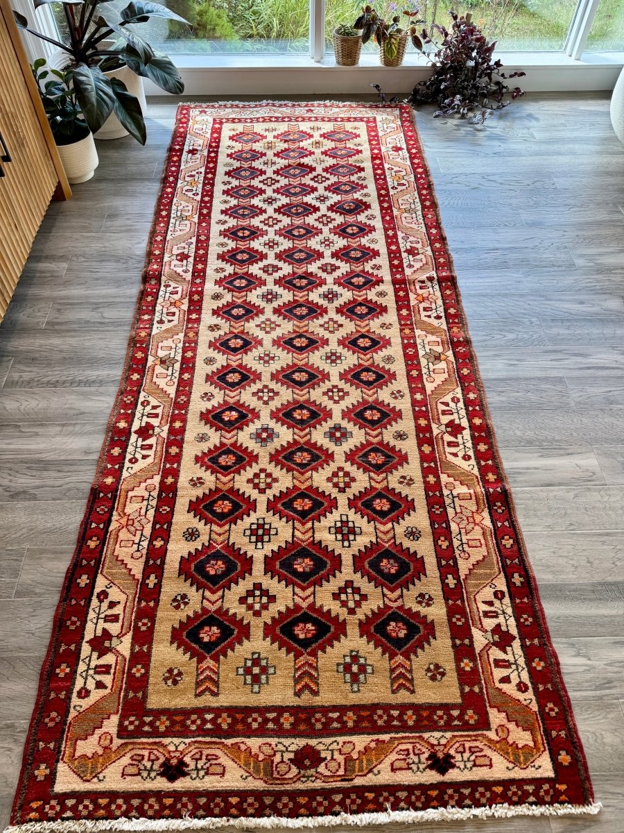 Persian Azerbaijan Runner Rug | 3' 10" x 9' 3"