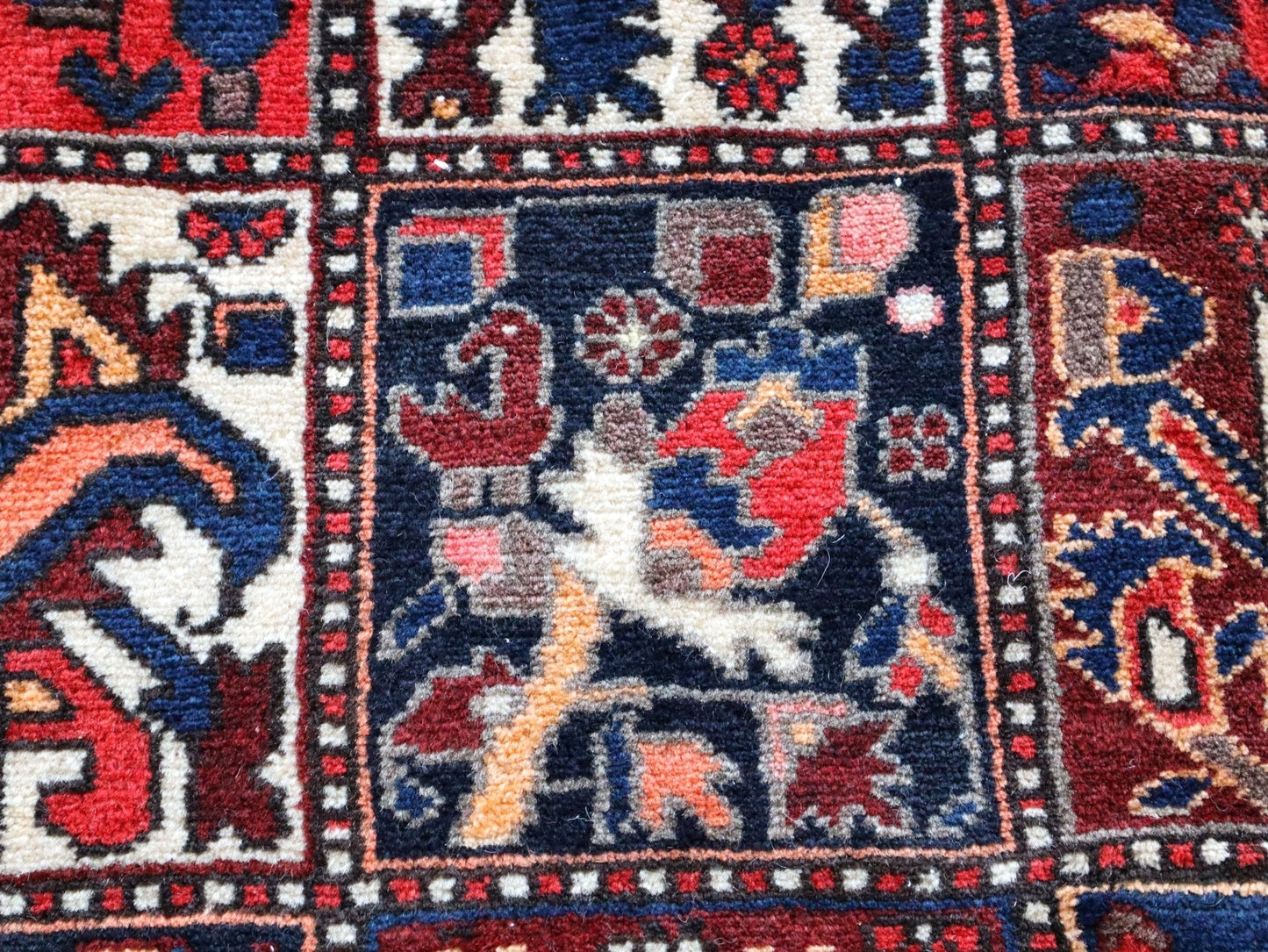 Persian Bakhtiari Rug | 5' 1" x 9' 6"