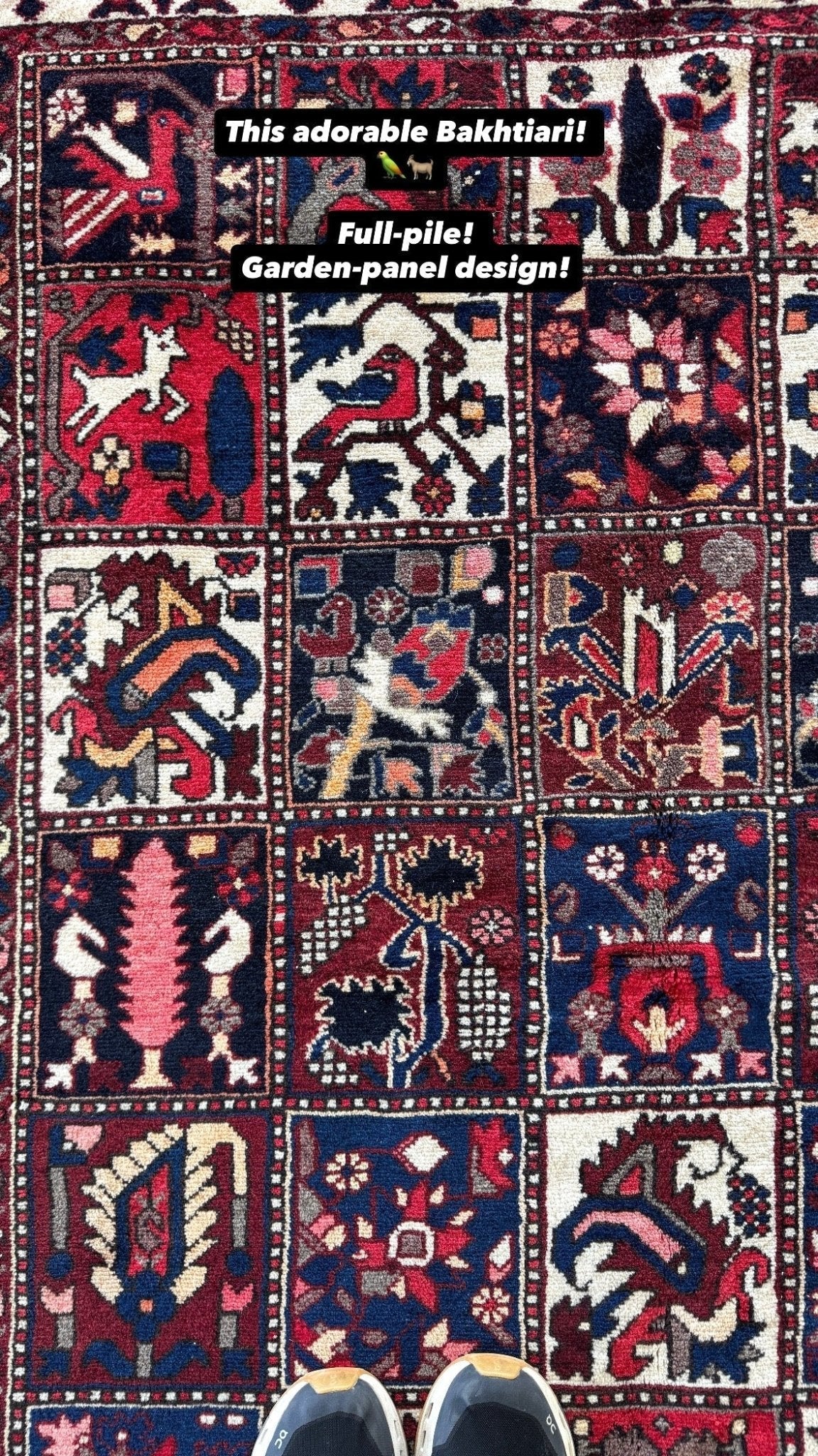 Persian Bakhtiari Rug | 5' 1" x 9' 6"