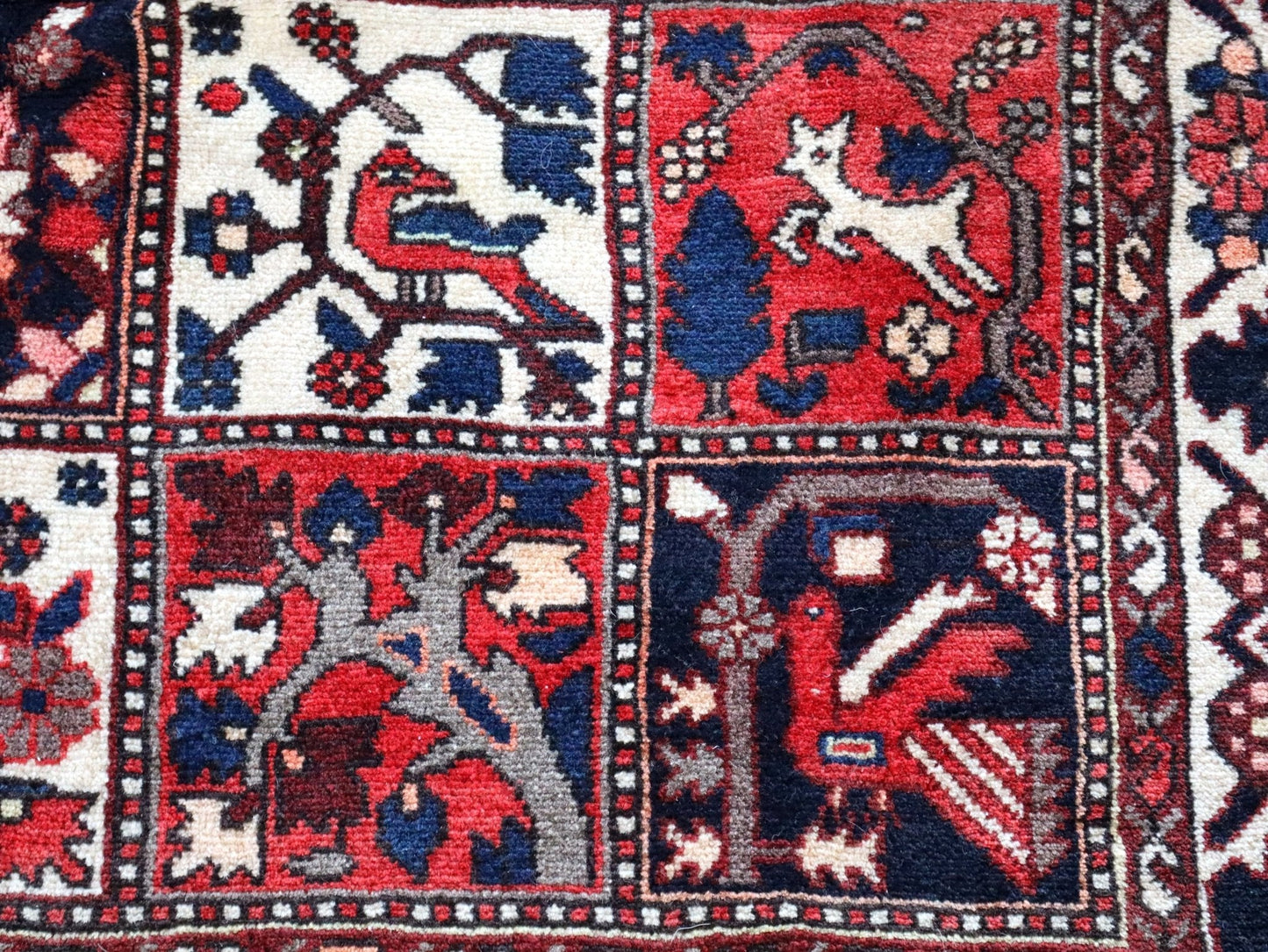 Persian Bakhtiari Rug | 5' 1" x 9' 6"