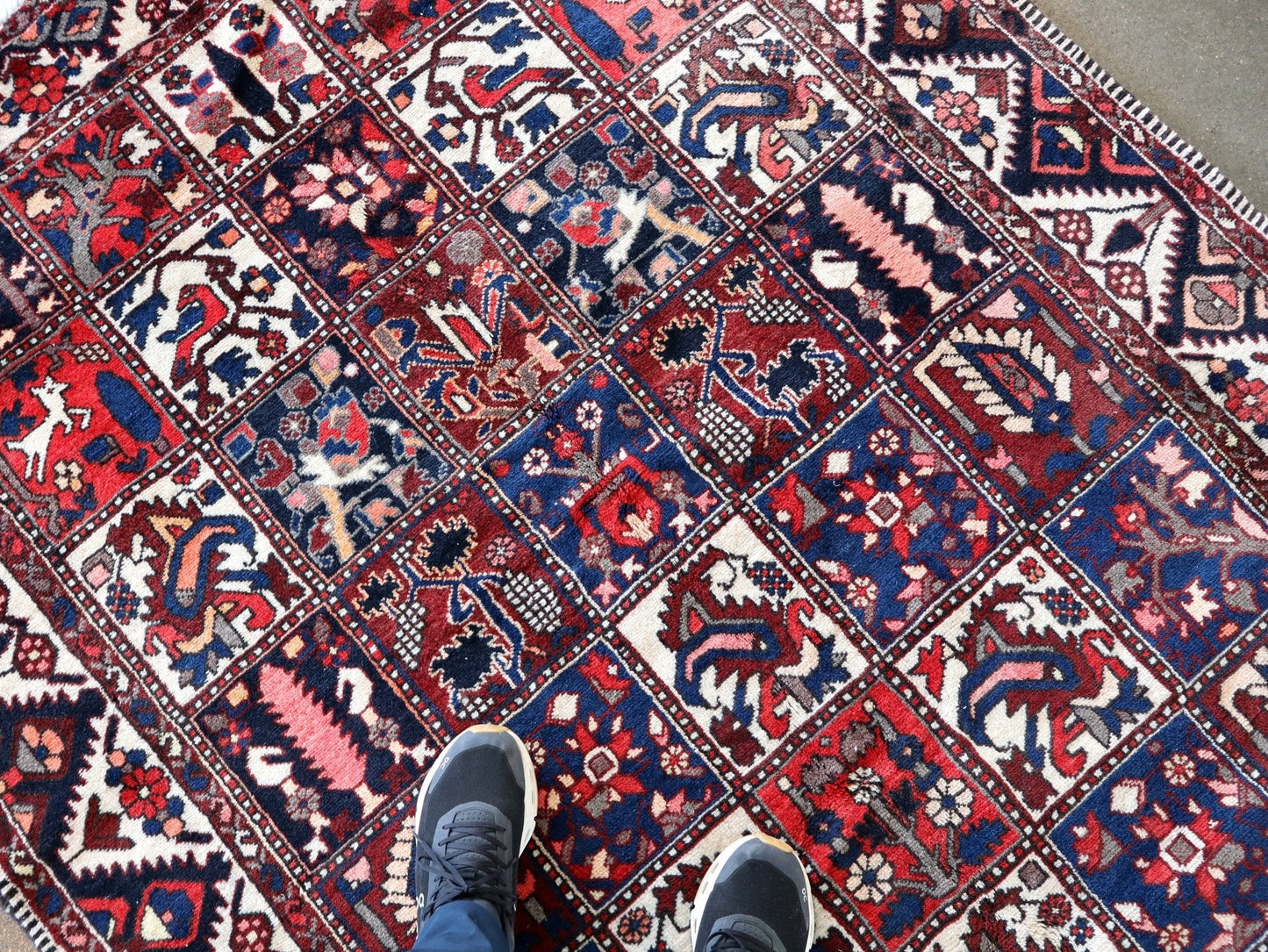Persian Bakhtiari Rug | 5' 1" x 9' 6"