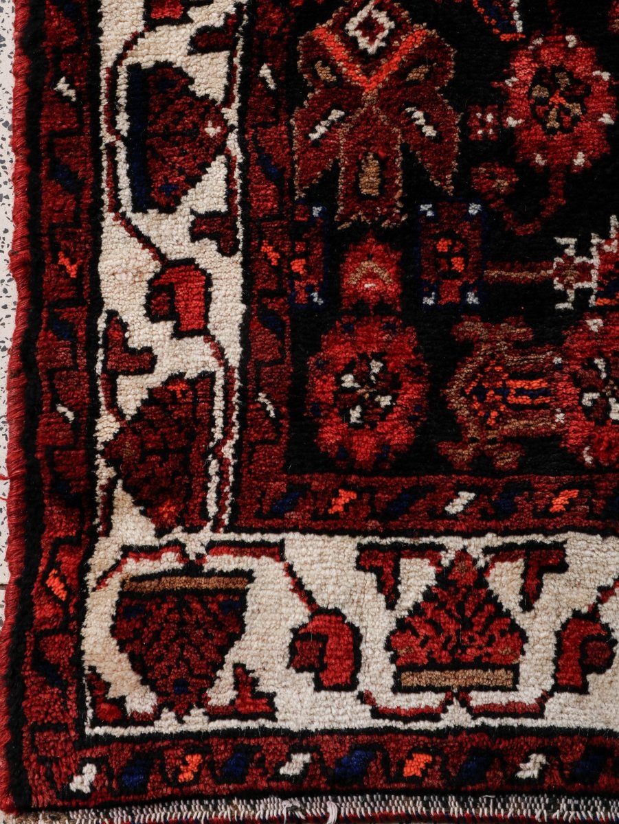 Persian Hamedan Runner Rug | 3' 8” x 9' 10"