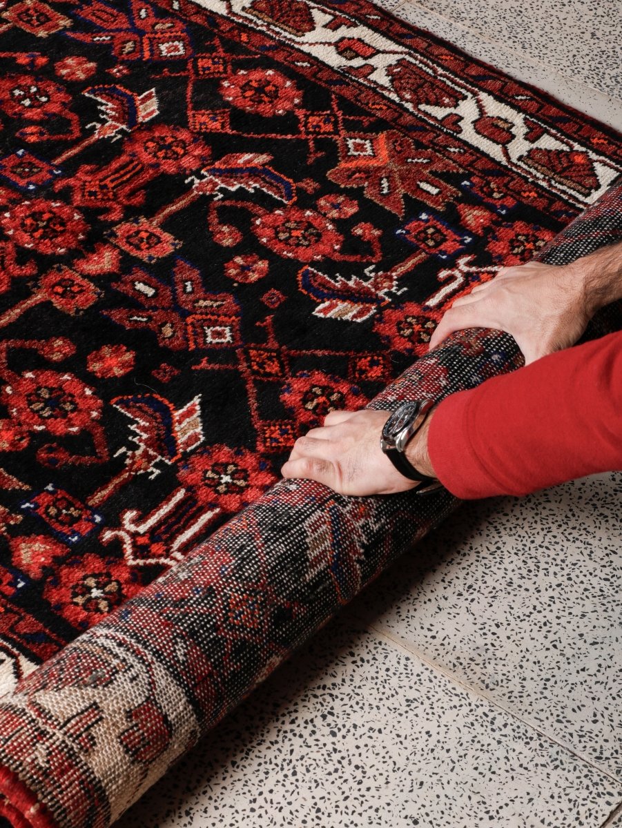 Persian Hamedan Runner Rug | 3' 8” x 9' 10"