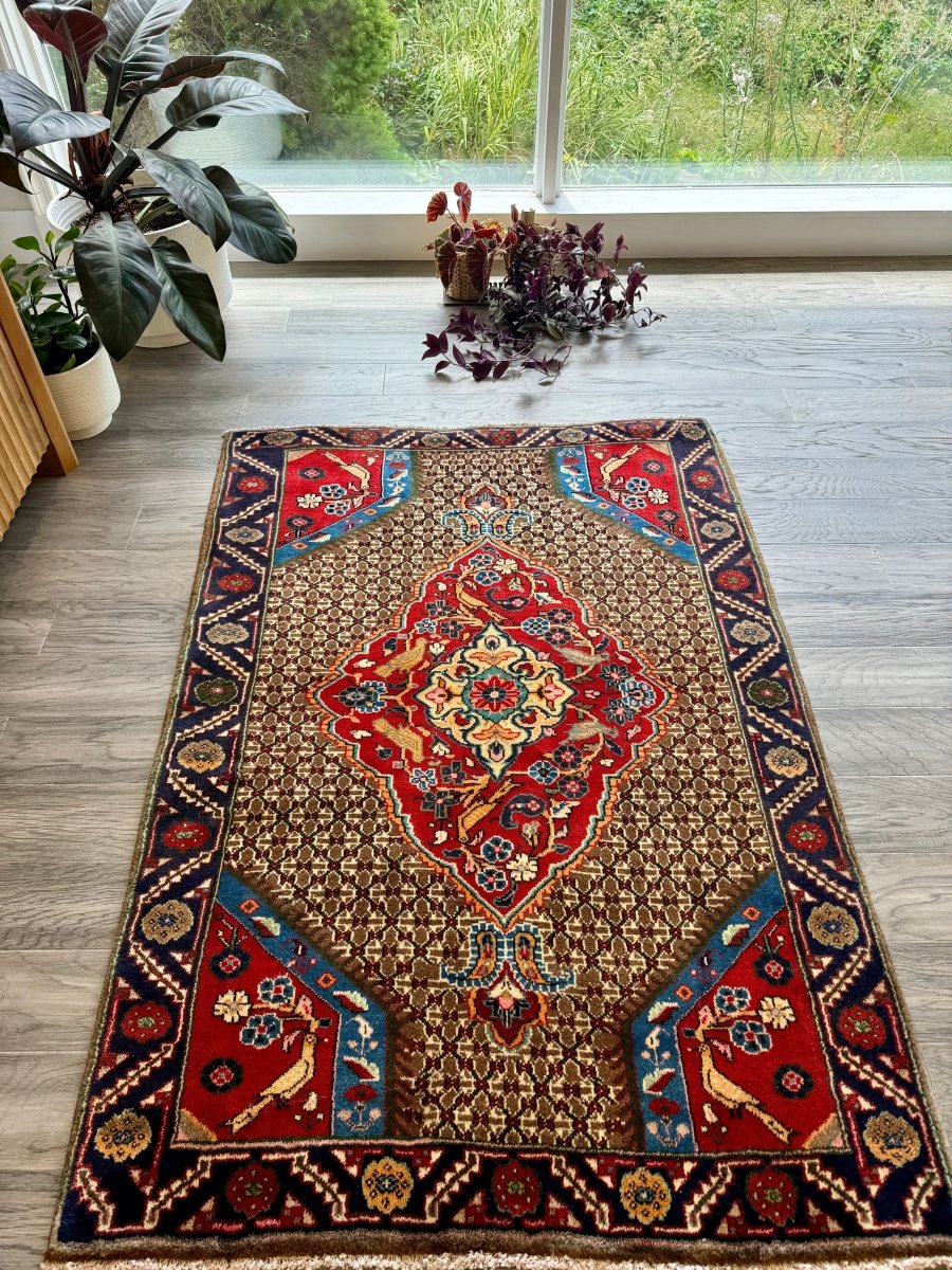 Persian Koliai Rug | 3' 4" x 4' 11"