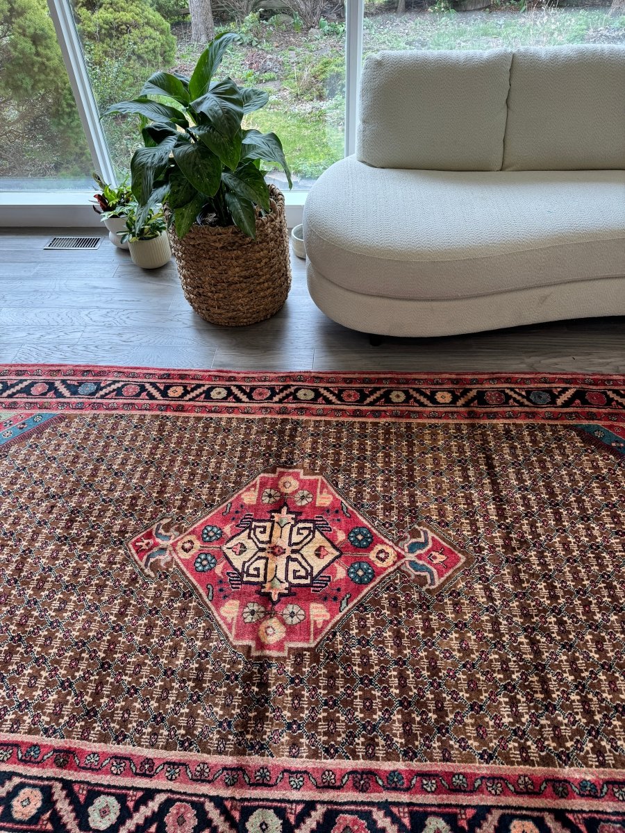 Persian Koliai Rug | 5’ 1" x 9’ 5"