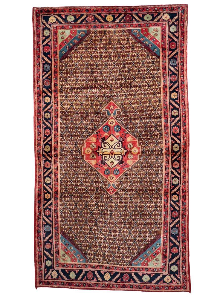 Persian Koliai Rug | 5’ 1" x 9’ 5"