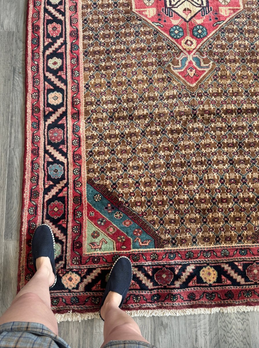 Persian Koliai Rug | 5’ 1" x 9’ 5"