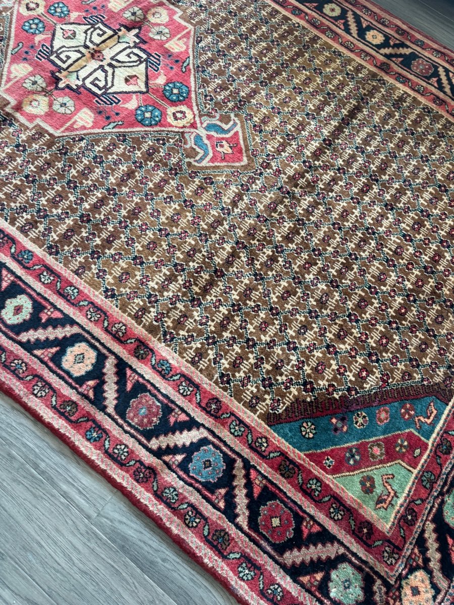 Persian Koliai Rug | 5’ 1" x 9’ 5"