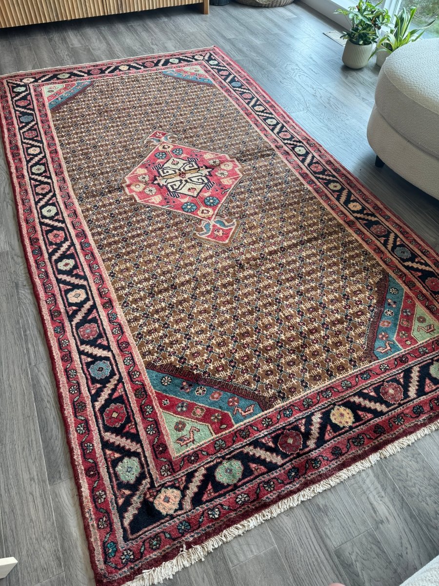 Persian Koliai Rug | 5’ 1" x 9’ 5"