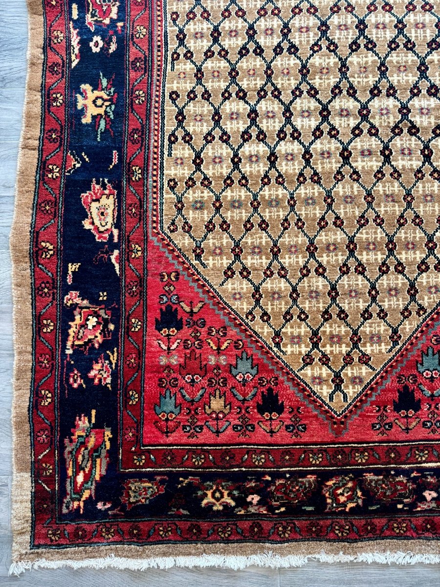 Persian Koliai Rug | 5’ x 7' 8"
