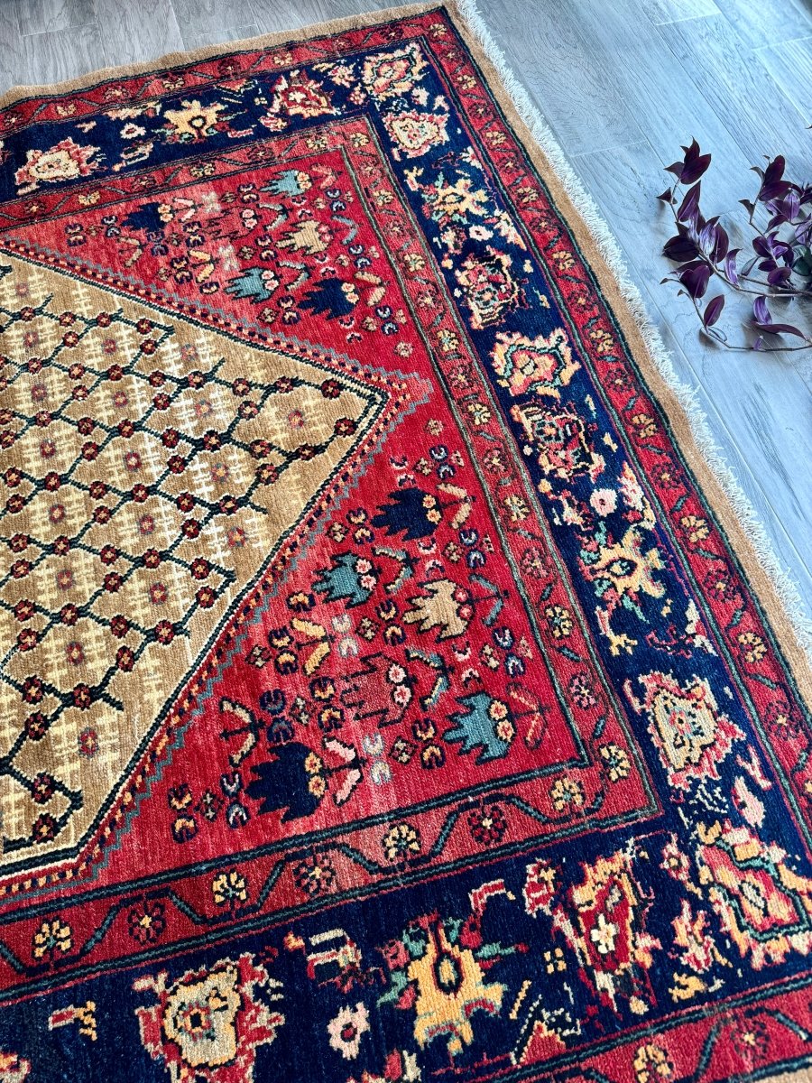Persian Koliai Rug | 5’ x 7' 8"