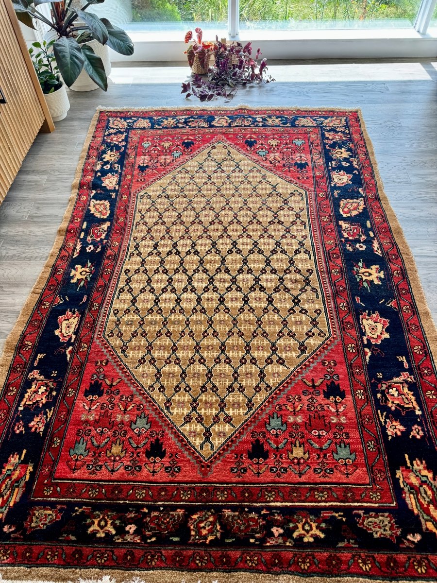 Persian Koliai Rug | 5’ x 7' 8"