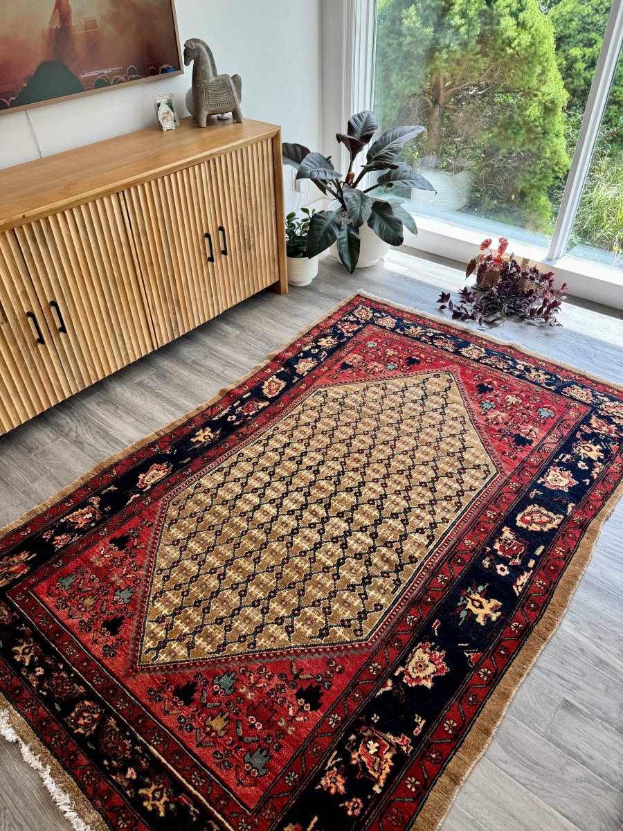 Persian Koliai Rug | 5’ x 7' 8"