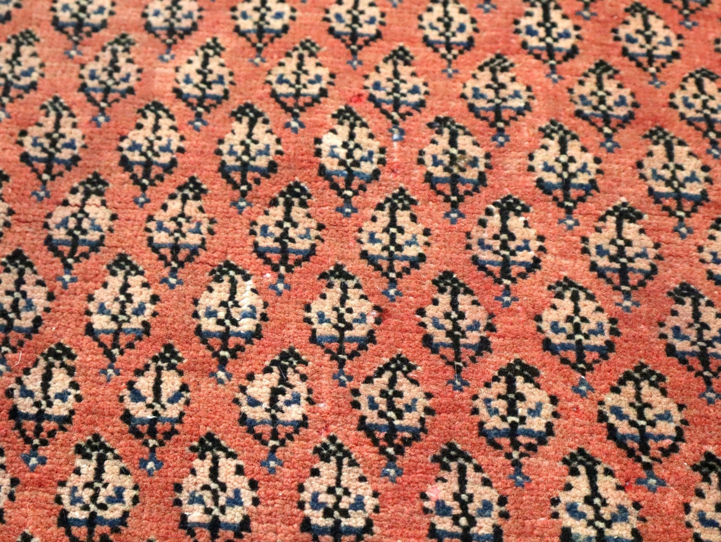 Persian Mir Rug | 3' 8” x 6' 11"