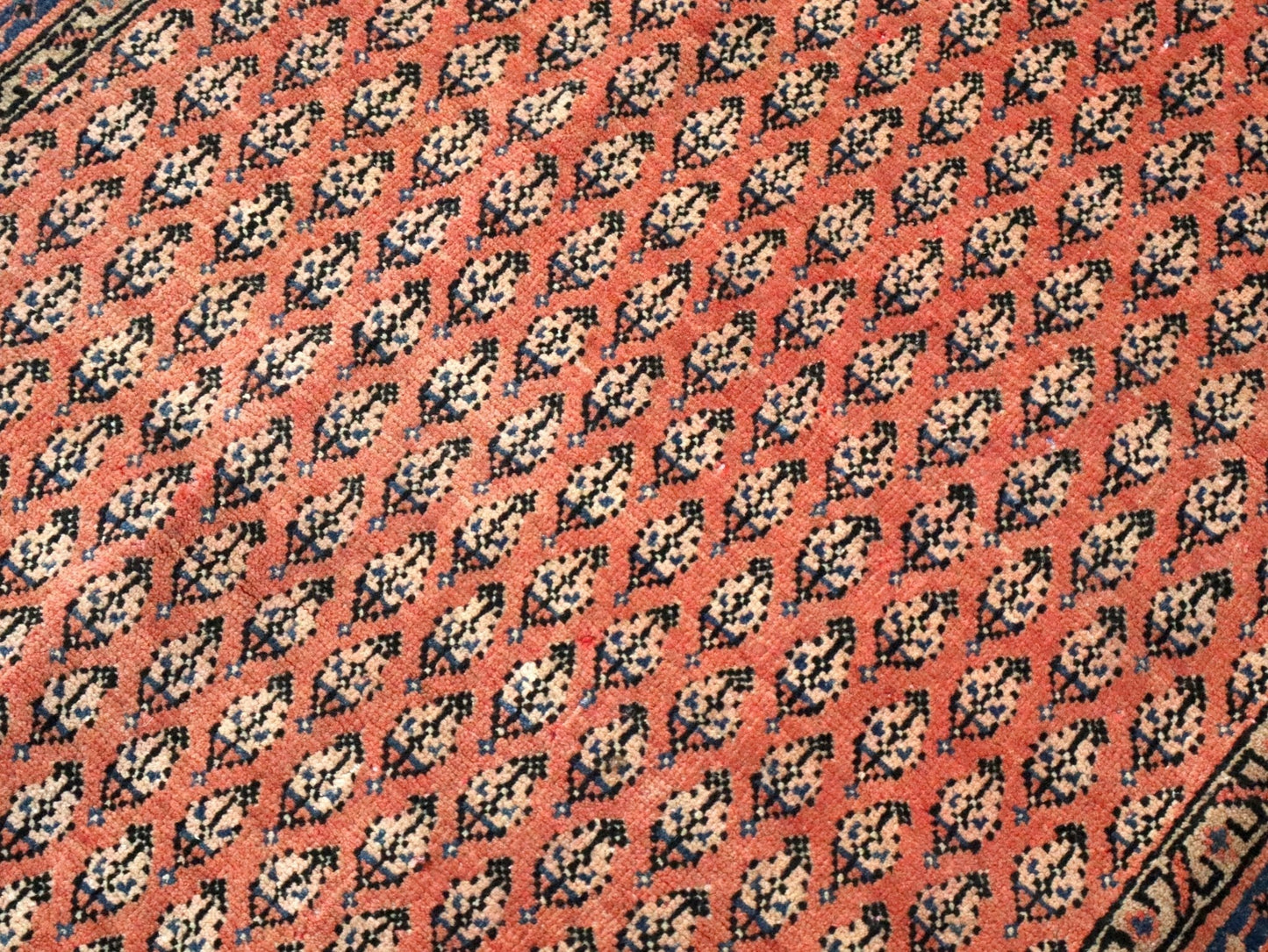 Persian Mir Rug | 3' 8” x 6' 11"