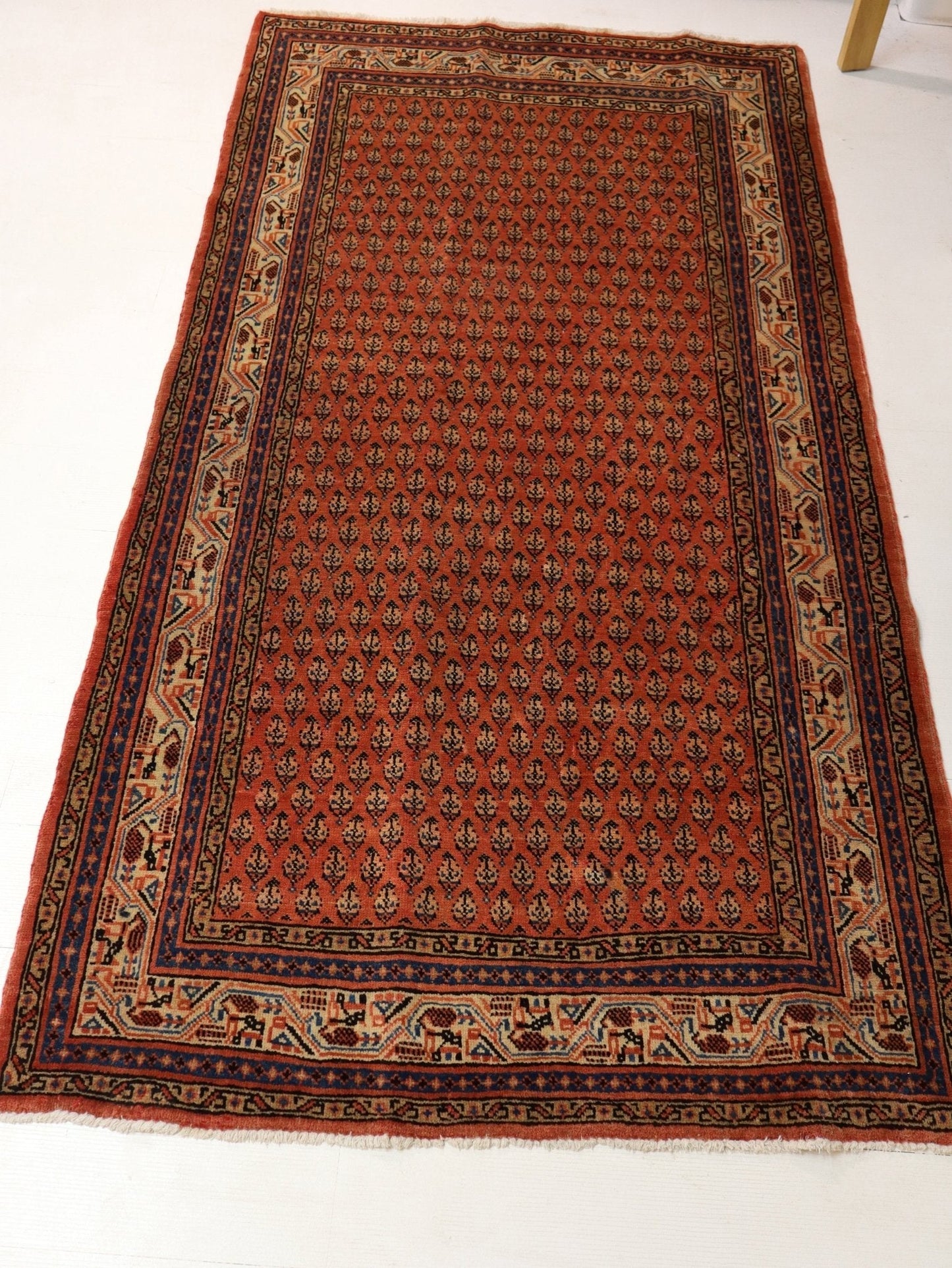 Persian Mir Rug | 3' 8” x 6' 11"