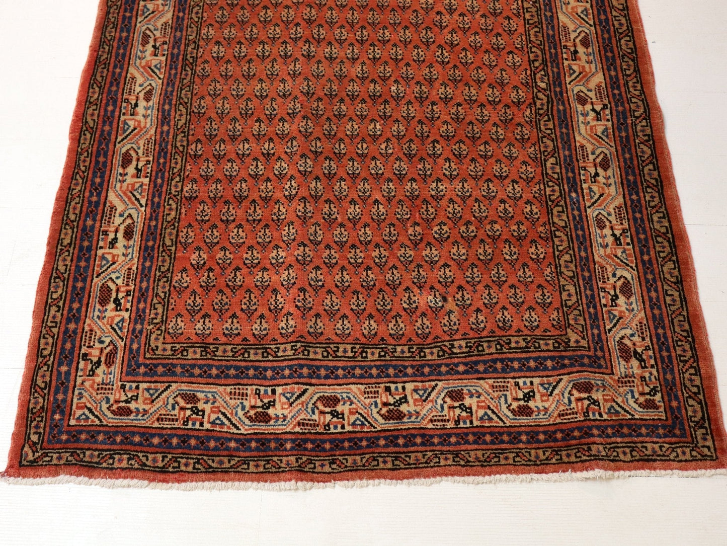 Persian Mir Rug | 3' 8” x 6' 11"