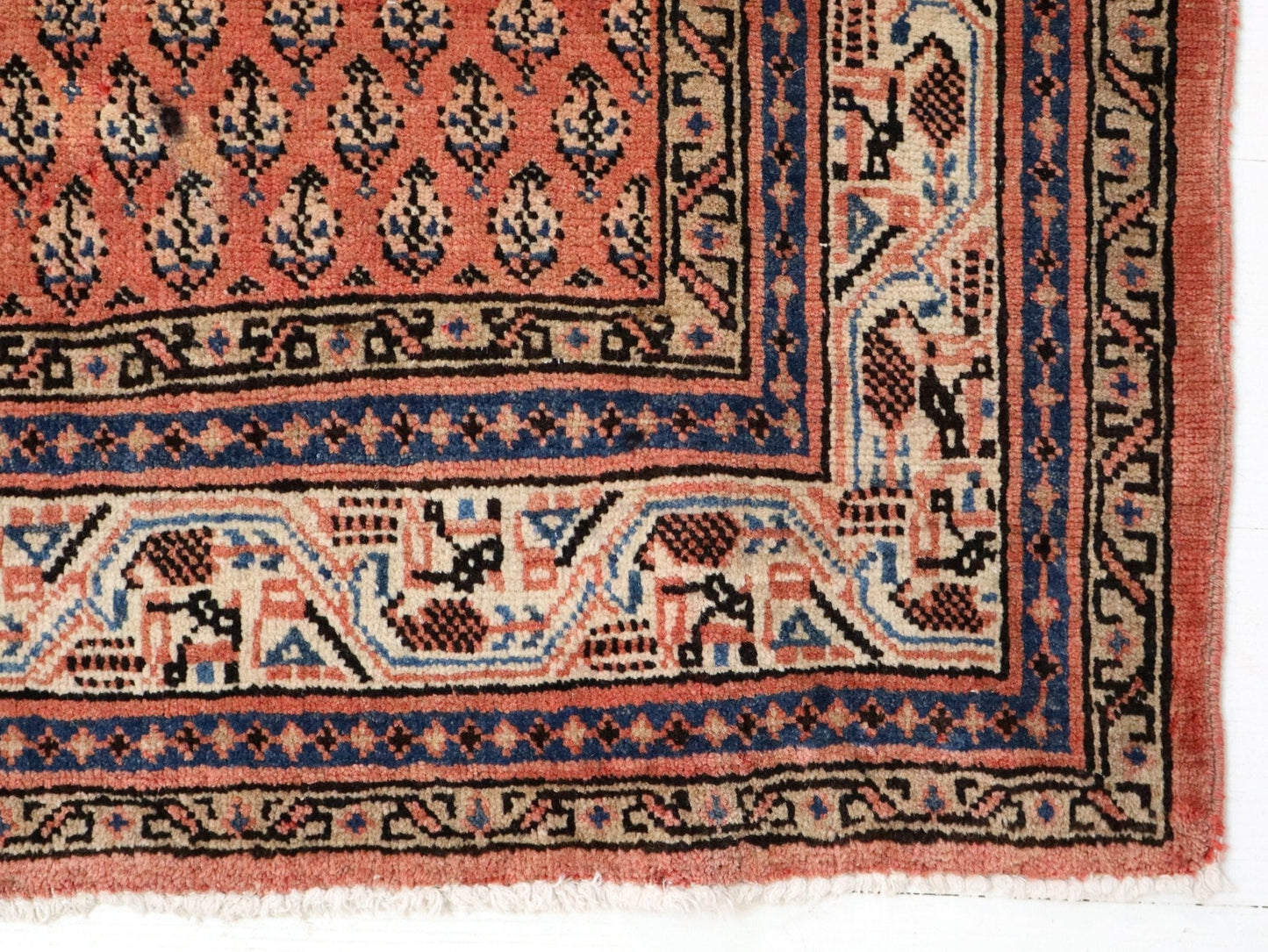 Persian Mir Rug | 3' 8” x 6' 11"