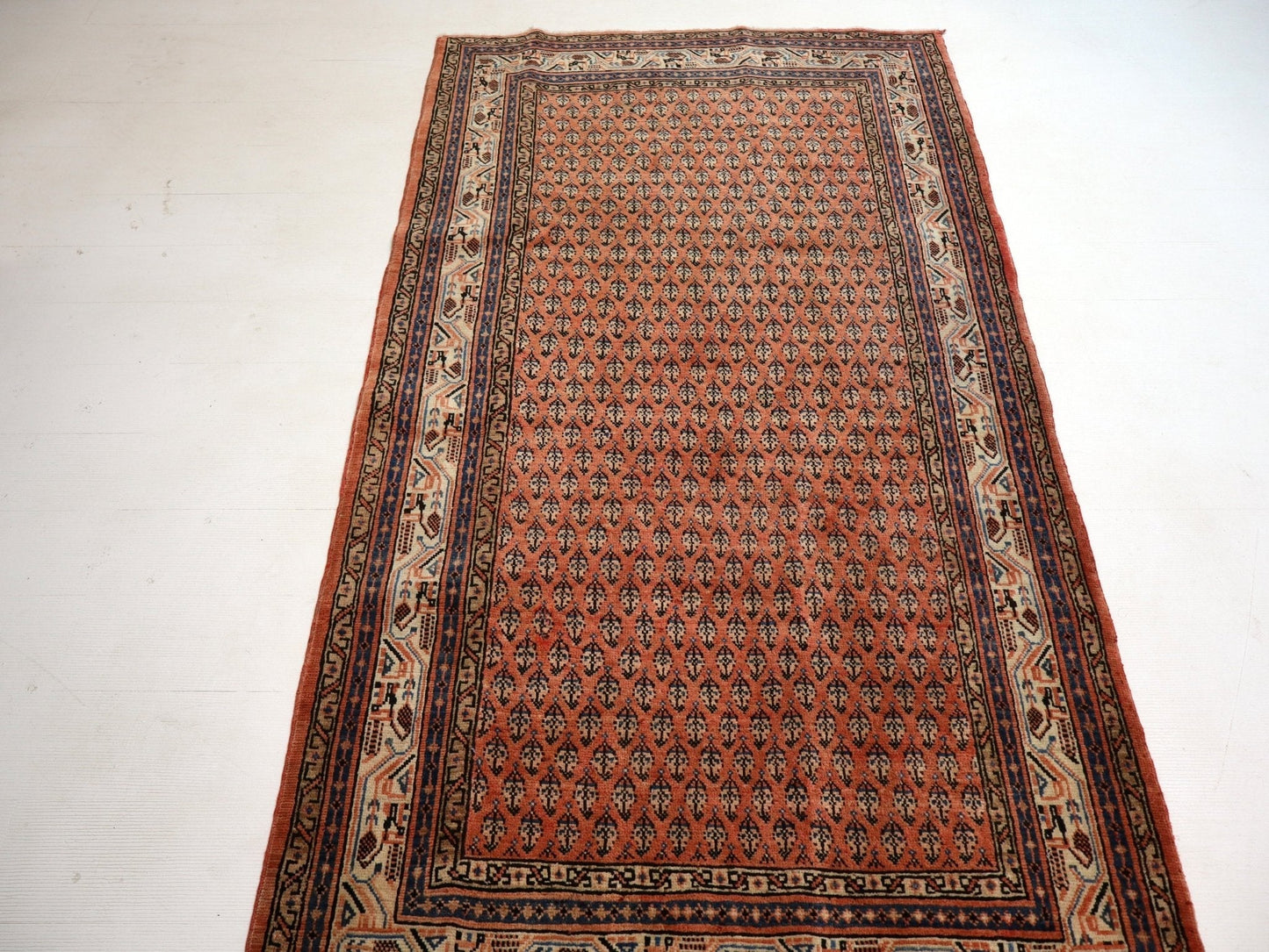 Persian Mir Rug | 3' 8” x 6' 11"