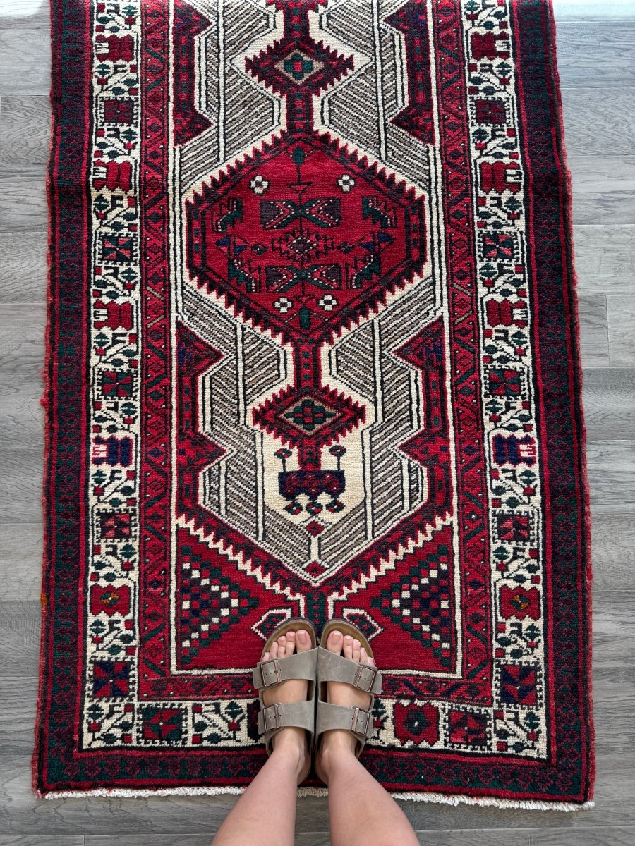 Persian Sarab Runner Rug | 2' 11" x 10' 6"