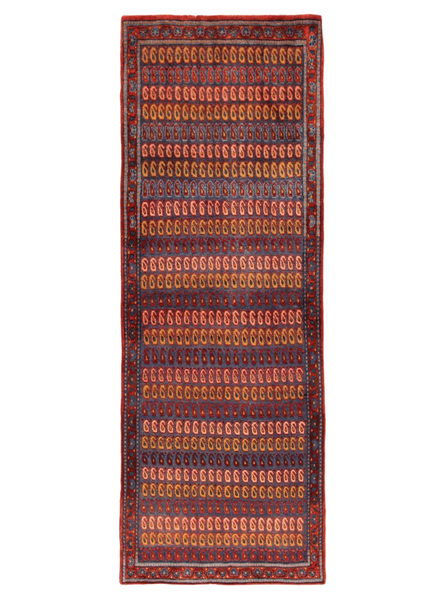 Persian Viss Runner Rug | 2' 11” x 7' 11"