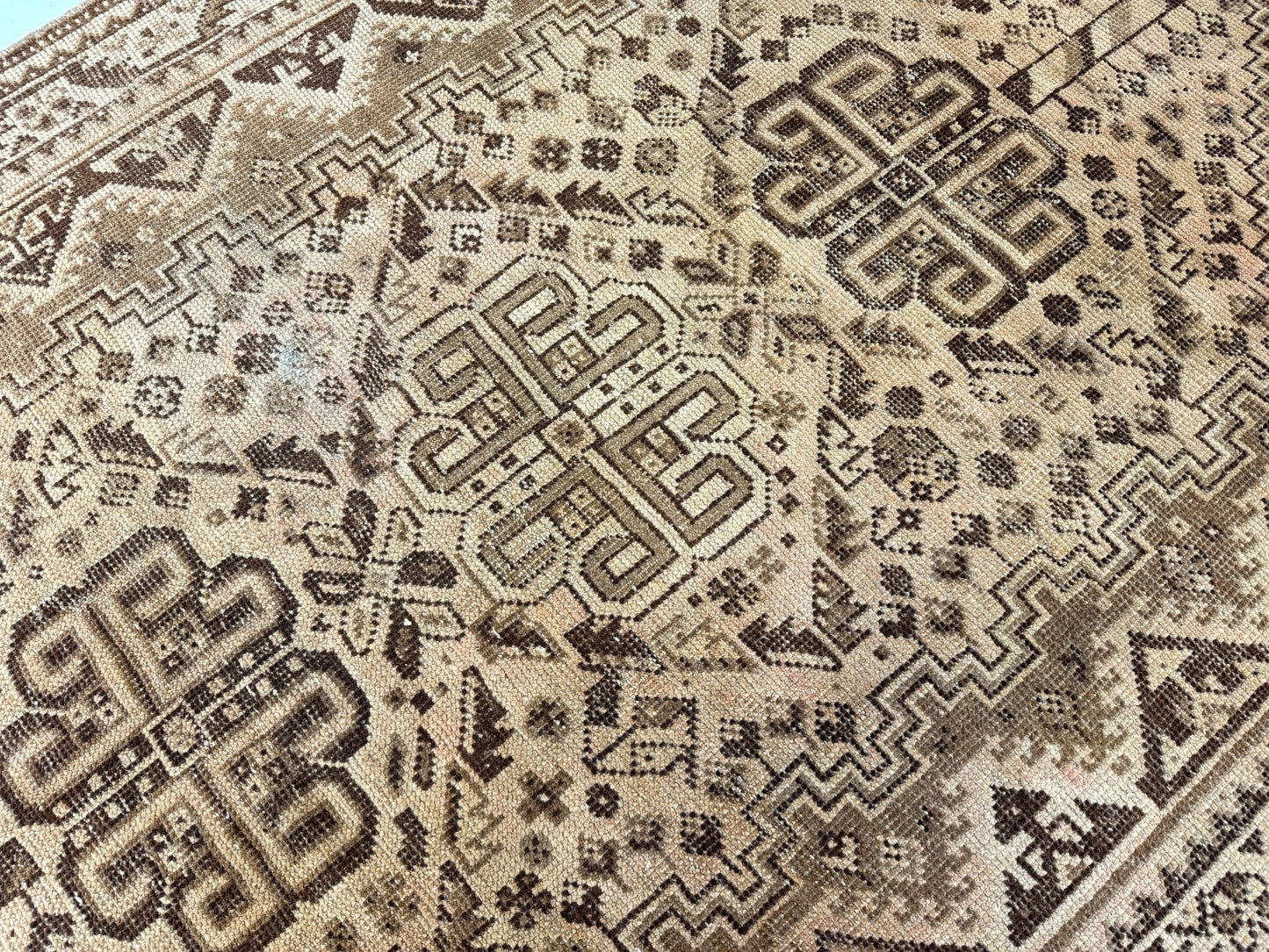 Persian Shiraz Rug | 5' 5” x 7' 11"