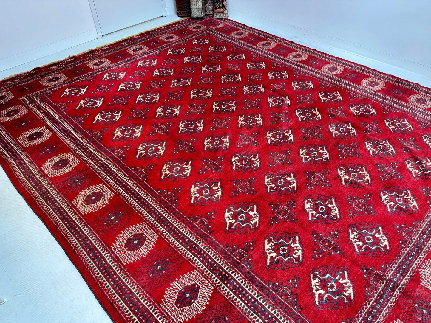 Persian Turkmen Rug | 10' x 12' 7"