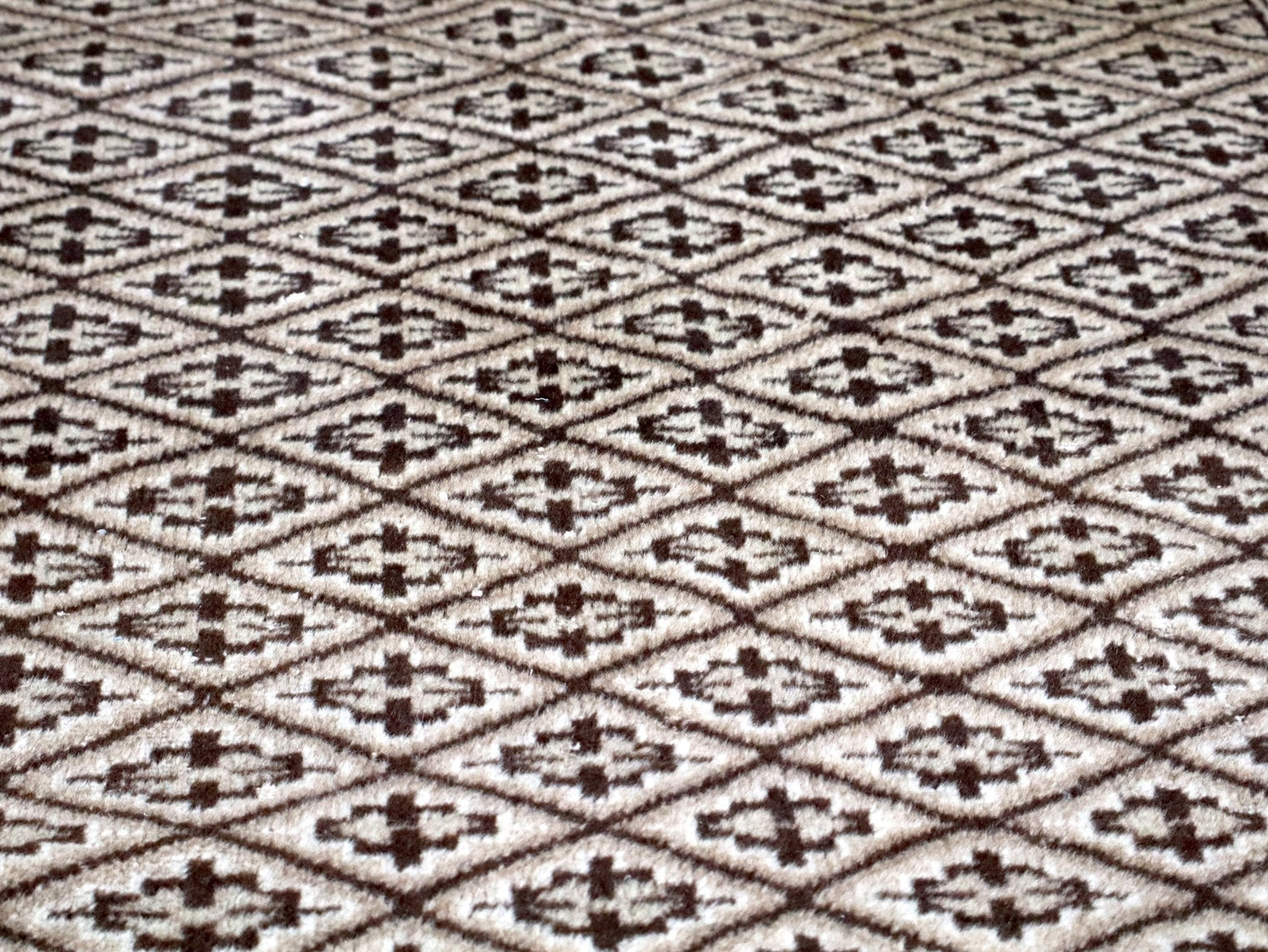 Persian Turkmen Rug | 3' 3" x 4' 5"