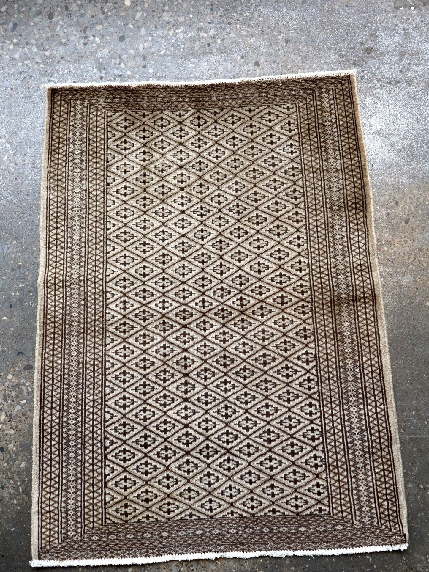 Persian Turkmen Rug | 3' 3" x 4' 5"