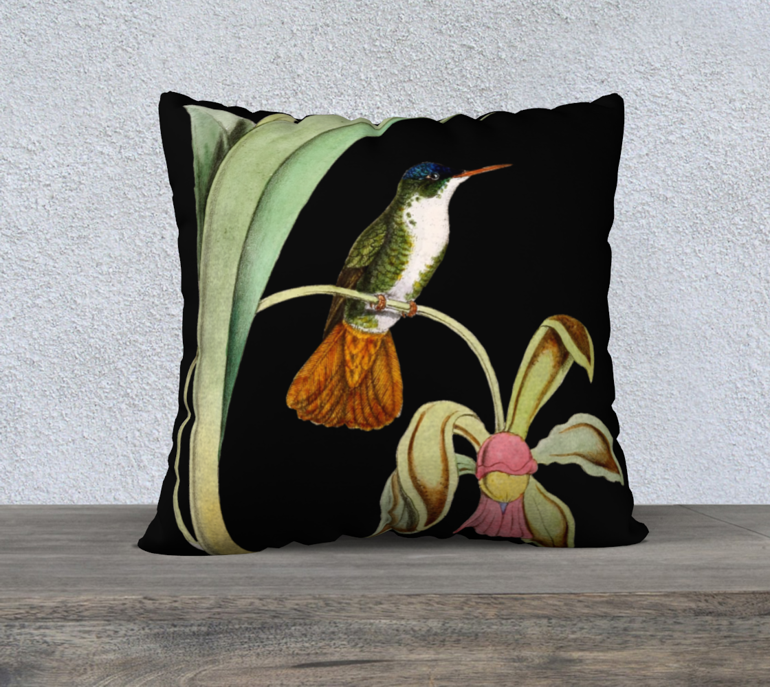 Vintage Hummingbird on Black Velveteen Pillow Cover - 22" x 22"