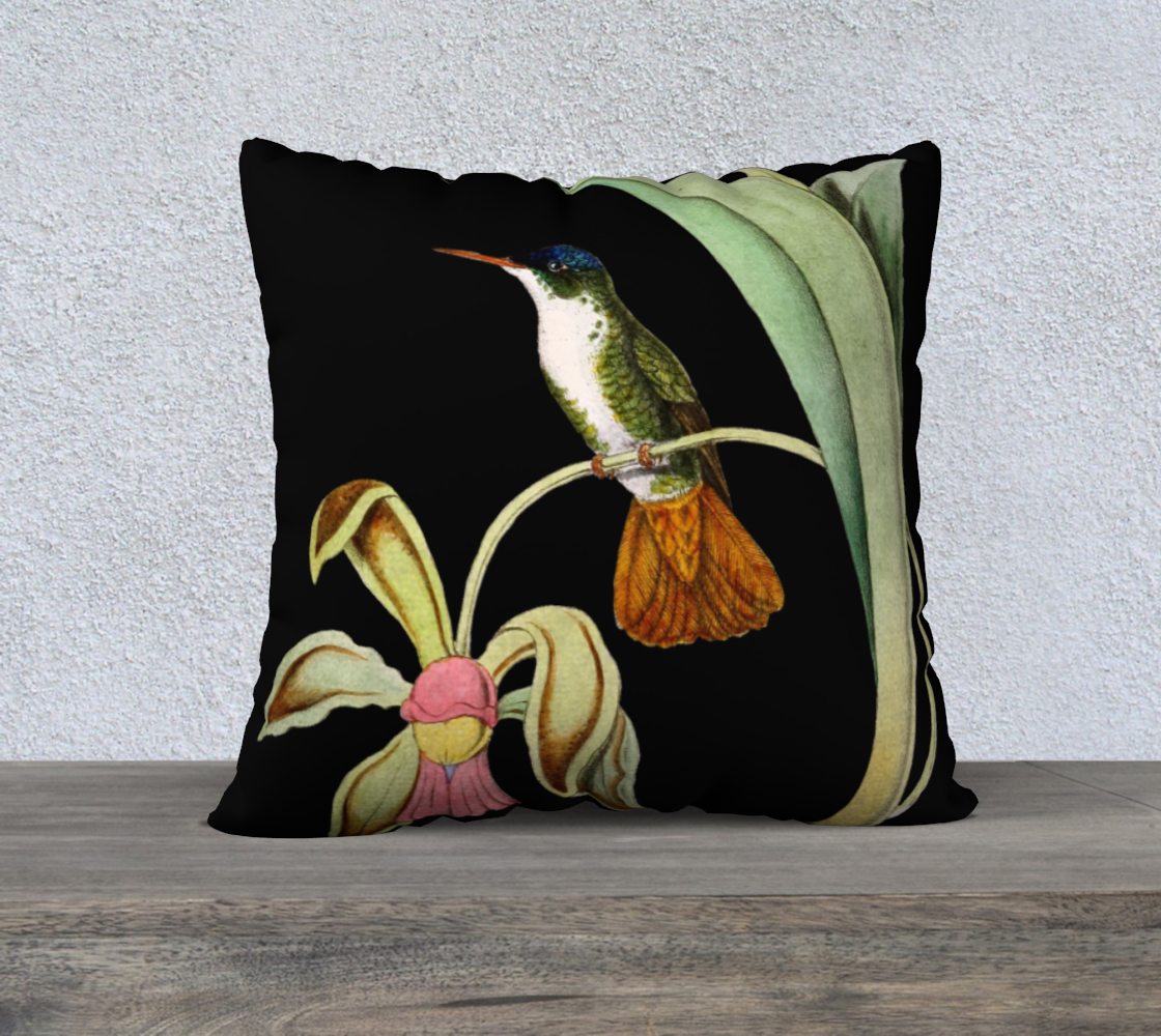 Vintage Hummingbird on Black Velveteen Pillow Cover - 22" x 22"