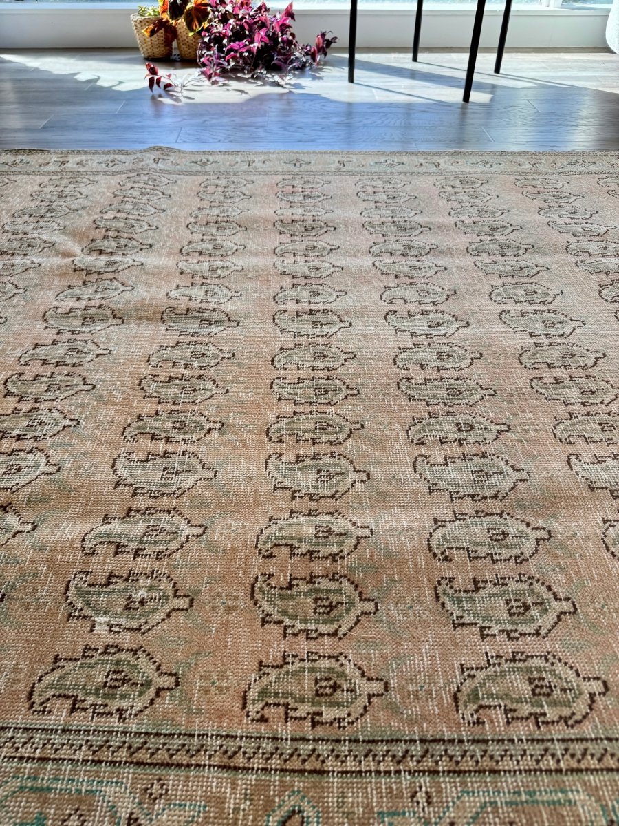 Tabriz Paisley Rug | 4' 9" x 11' 2"
