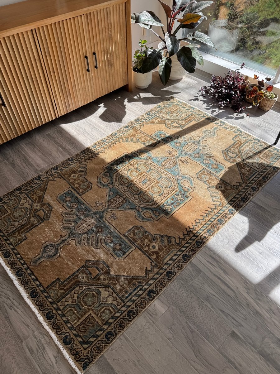 Vintage Hamadan Rug | 3' 11" x 6' 7"